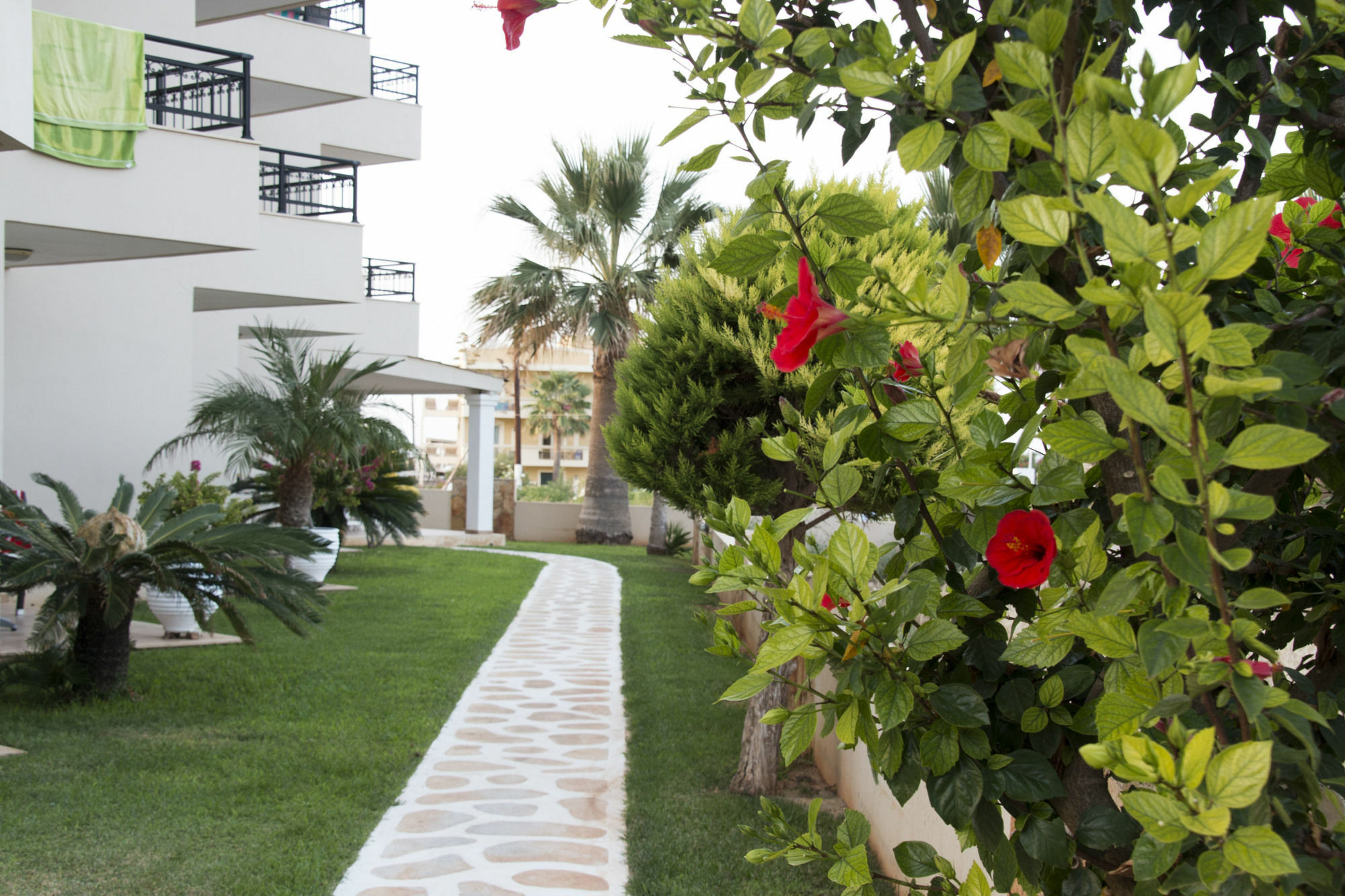 Ammos Boutique Apartments & Suites Mália Exterior foto